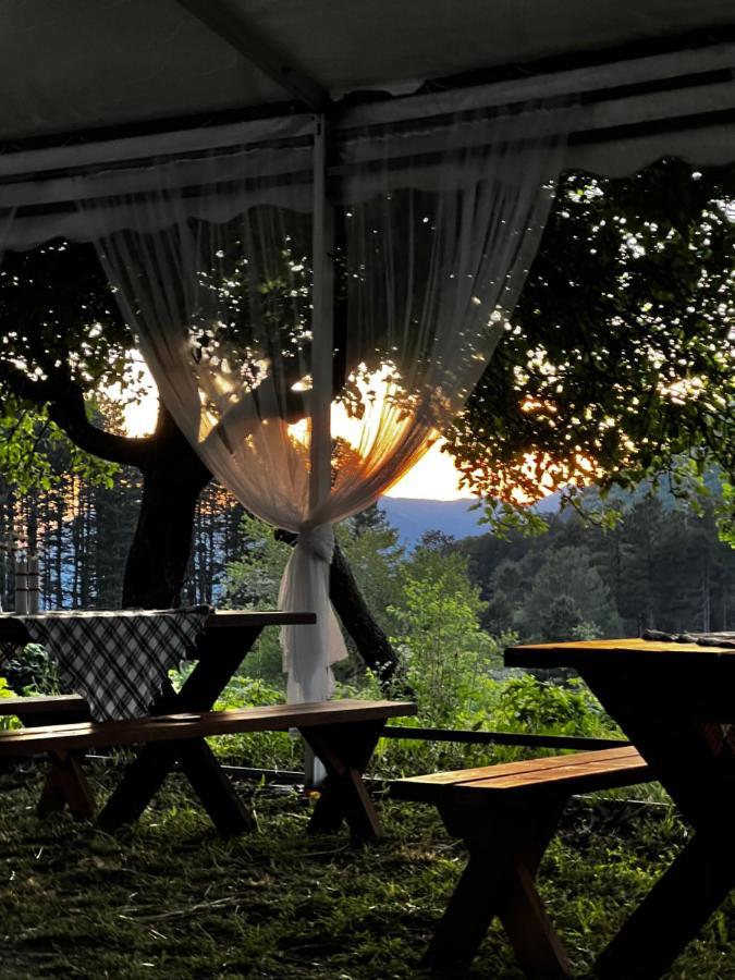 Glamping Lovcen Villa Njegusi Eksteriør billede